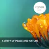 Nature Radiance & Nature Atmospheres - A Unity of Peace and Nature